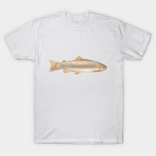 Apache Trout T-Shirt